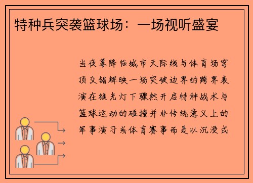 特种兵突袭篮球场：一场视听盛宴